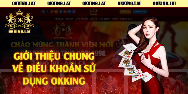 Giới thiệu chung về điều khoản sử dụng Okking